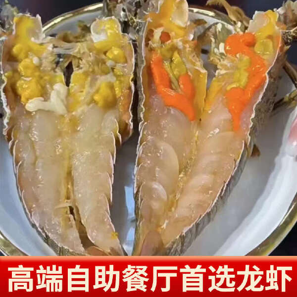 小青龙虾一级新鲜活冻大龙虾 酒店餐饮批发A极青龙仔