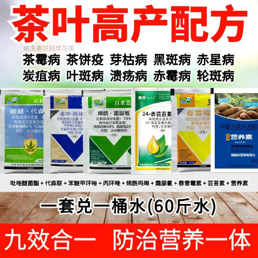民权县茶叶套餐防治组合茶饼病黑斑病茶霉病芽枯病溃疡叶斑病茶树杀菌剂