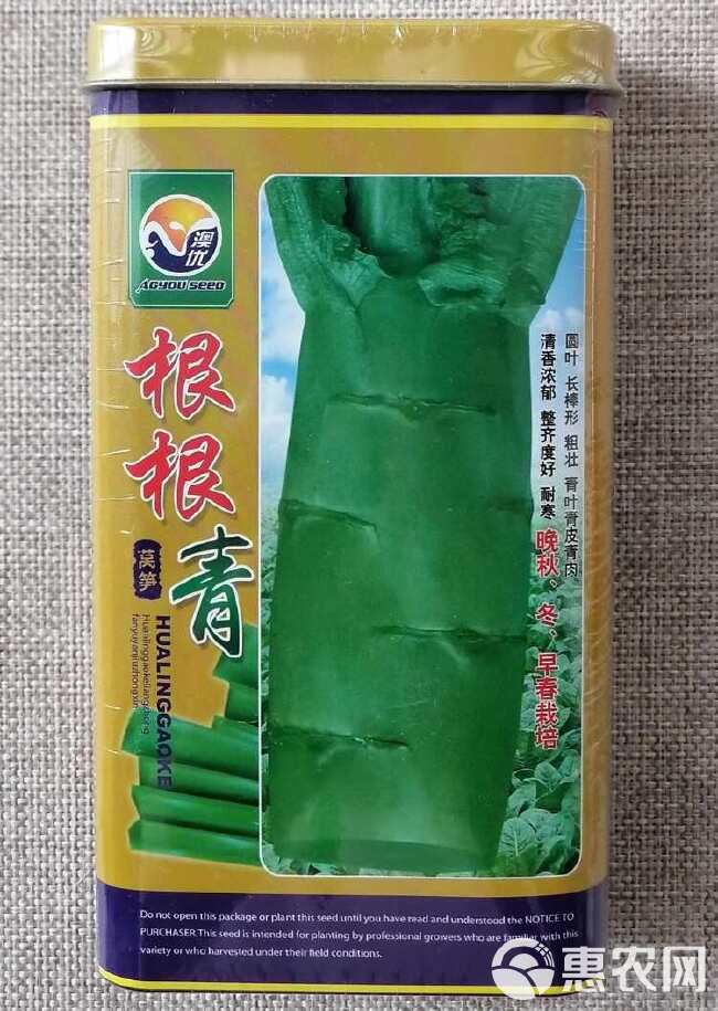 纯青玉圆叶香莴笋种子 耐寒抗病 青皮青肉 清香浓郁 抗裂耐抽