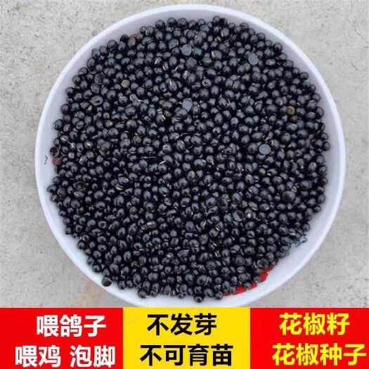 丰都新货花椒种子花椒籽大红袍鸽粮赛鸽肉鸽鸟食泡脚散装花椒粮食