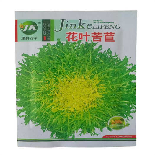 济南花叶苦苣种子可四季春秋播黄心苦菊种子基地