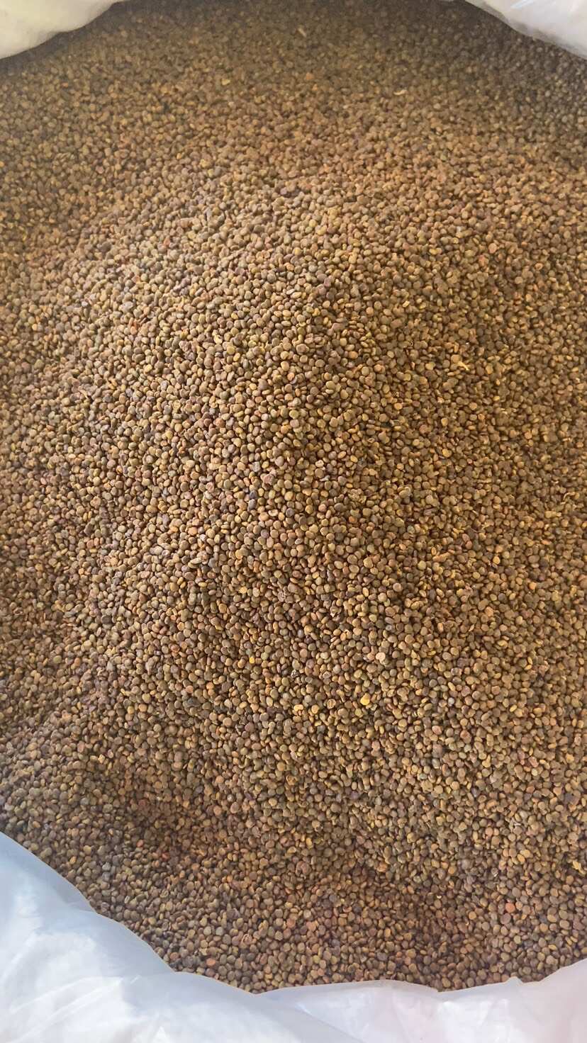 【批发联系商家】沙苑子 优选沙苑子 无 杂质 包邮