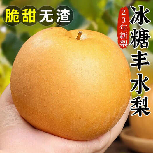 莱阳市山东丰水梨冰糖丰水梨非秋月梨5斤/9斤装一件代发