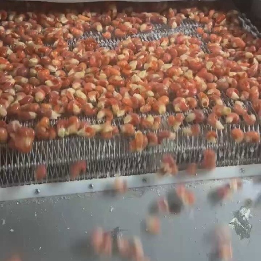 厂家直销电商爆款500g龙虾尾出成率70%支持一件起批欢迎