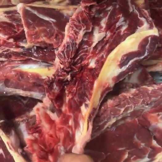 河间市牛羽骨 牛骨锅食材，最美不过贴骨肉，自助餐厅食材。