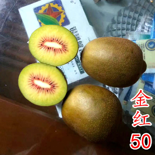 嵊州市金红50号猕猴桃苗 楚红什东红昇二号晚新品种金红心猕猴桃树苗