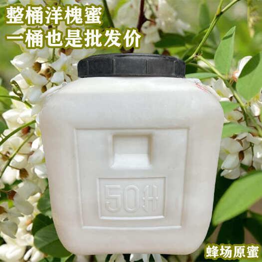 长沙蜂农自产原蜜整桶洋槐蜜成熟蜂蜜槐花蜜50斤一桶