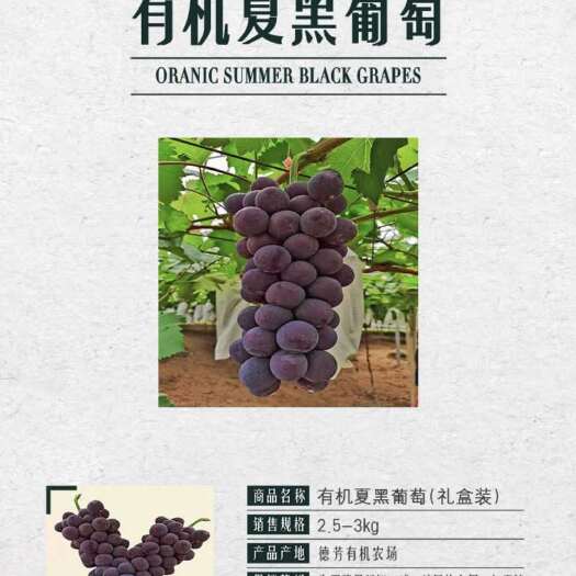 盱眙县有机夏黑葡萄