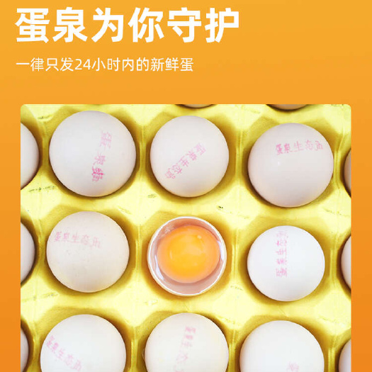 合肥蛋泉生态土鸡蛋.蛋清如泉水.营养价值高