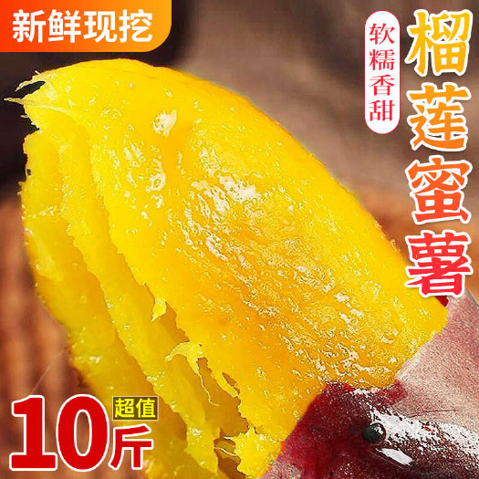 栖霞市正宗真榴莲蜜薯黄心番薯黄金红薯当季现挖地瓜蔬菜 5斤