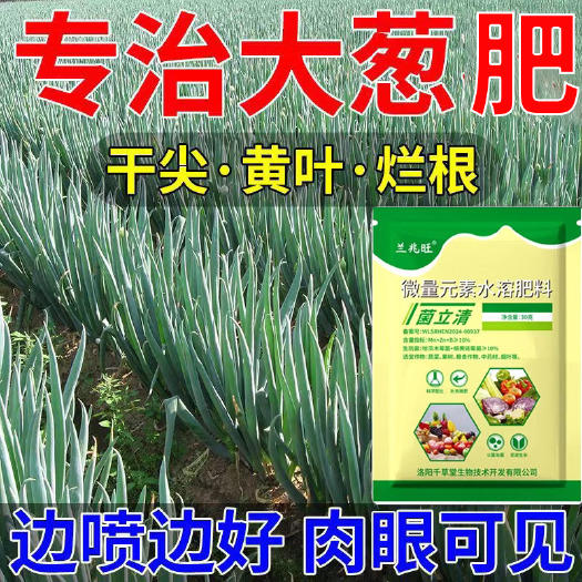 栾川县大葱病干尖黄叶专用药黑斑点干尖锈病增产抗病大葱猛长叶面肥农用