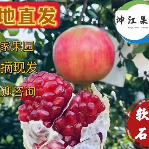 四川会理市【一级果】，自家果园，自产自销精品软籽石榴，支持一件起批，