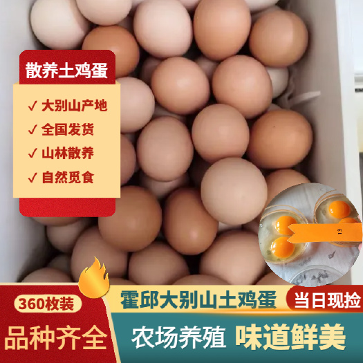 霍邱县产地直销35-39斤双色粉蛋全国发货