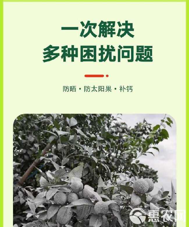 柑橘沃柑防晒剂防太阳果防晒专用剂涂白剂防虫补钙防裂果无残留