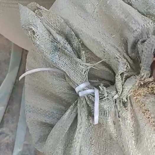 宁陵县花生秧细粉