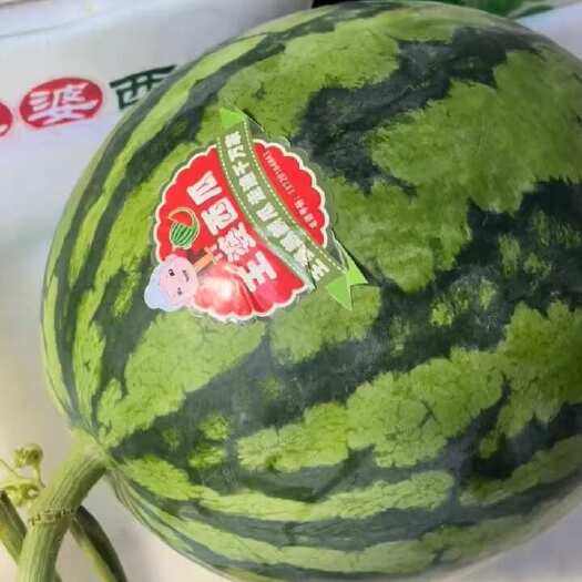 张家口西瓜