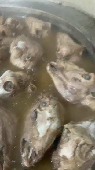 菏泽去皮全熟羊头肉。骨头拆的干净