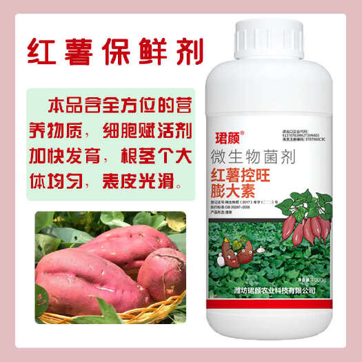 寿光市红薯控旺膨大素快速膨大提质增产抗土传病放重茬家用红薯防畸防裂