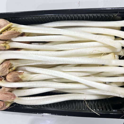高邮市【产地直发】农家自种食用花生芽量大价优，欢迎咨询支持一件起批