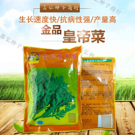 义乌市中叶茼蒿种子皇帝菜光杆茼蒿种子美味多芽香味浓高产大田