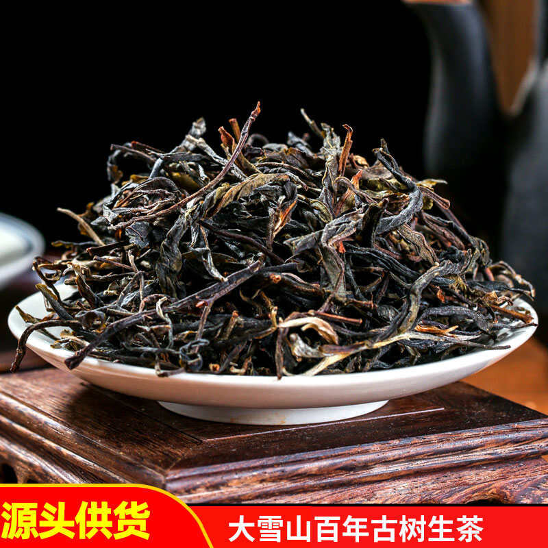 云南古树茶春茶大雪山普洱茶生茶散茶普洱生茶同款有七子饼和小饼