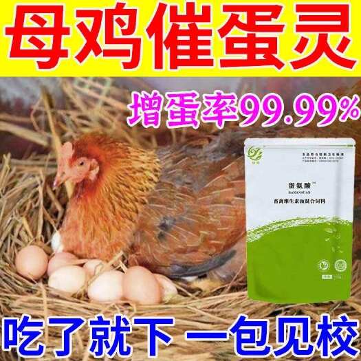 栾川县【母鸡下蛋猛】催蛋灵产蛋多鸡鸭鹅通用四季蛋不停蛋大饱满产蛋王