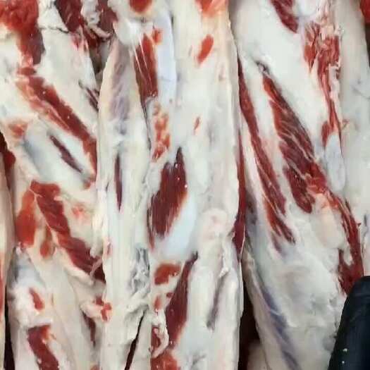 阳信县燕翅骨