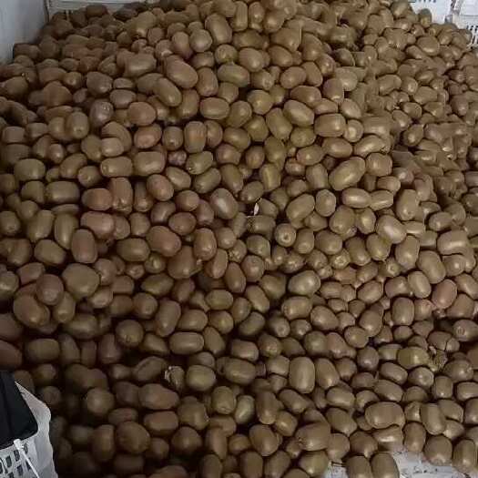 淄博源泉碧玉猕猴桃