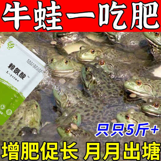 栾川县牛蛙增肥素【整塘无小蛙】牛蛙养殖专用饲料水产通用高蛋白增产剂
