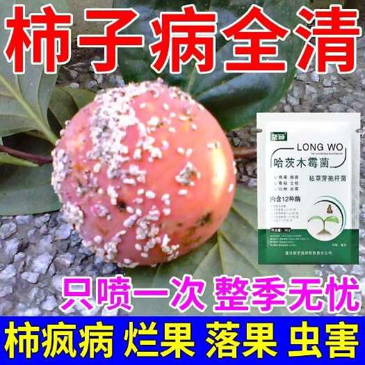 栾川县柿子病全治柿子树白虱子蚧壳虫炭疽病白粉病落果黑斑专用肥叶面肥
