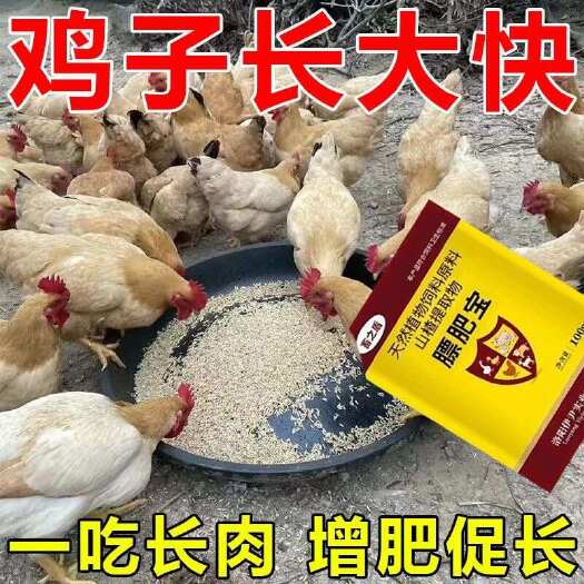 栾川县鸡鸭鹅家禽催肥增重猛长素快速增重促长早出栏膘肥宝饲料添加剂