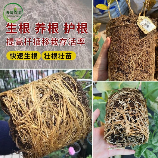 寿光市微生物菌剂水溶肥改良土壤生根壮苗保花保果膨果着色均匀增产增收