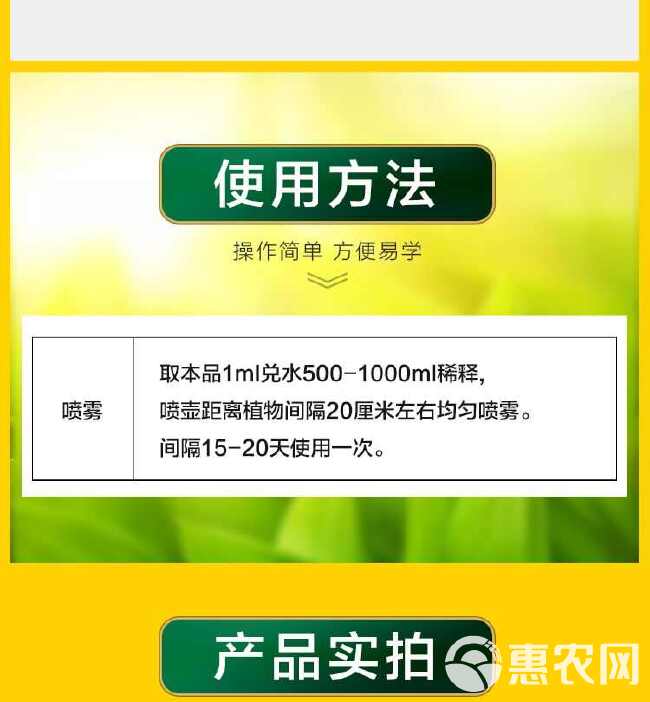 葱姜蒜韭菜干尖灵叶色浓绿叶面肥厚提高品质除干尖提质增产防干尖