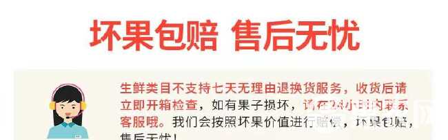 山东秋月梨 当季现摘梨子莱阳新鲜水果中秋礼盒装 一件代发