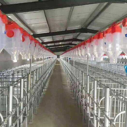泊头市全自动料线自动料线厂家