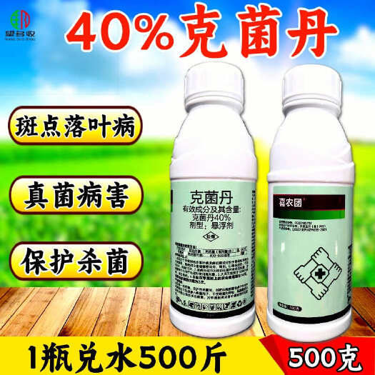 40%克菌丹斑点落叶病真菌保护杀菌美化果面亮果预防果锈