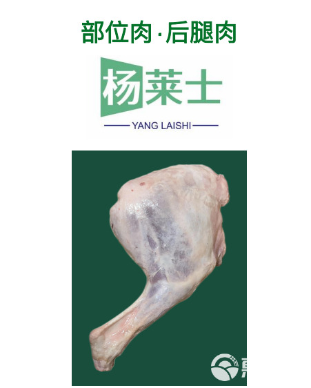 羊腿肉（前腿后腿肉都有）源头供应链为您提供，品质保障