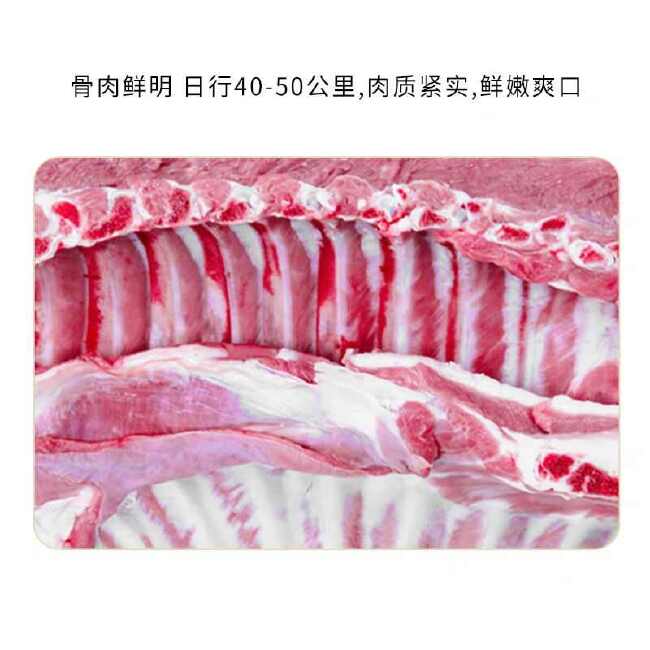 羊肋排肉，源头一站式采购商，品类齐全，品质保障