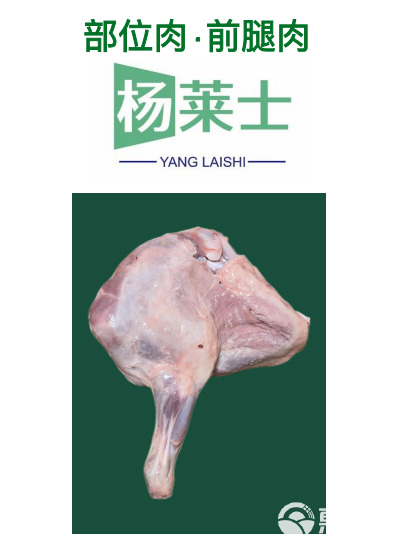 羊腿肉（前腿后腿肉都有）源头供应链为您提供，品质保障