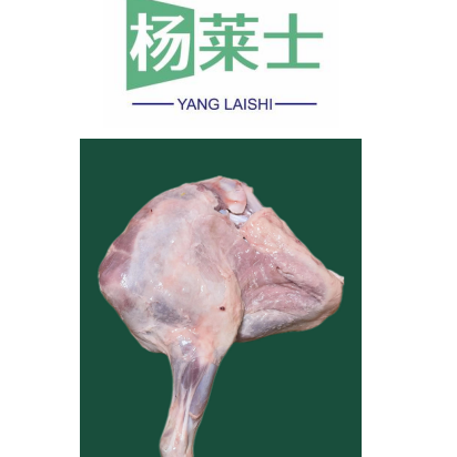 羊腿肉（前腿后腿肉都有）源头供应链为您提供，品质保障