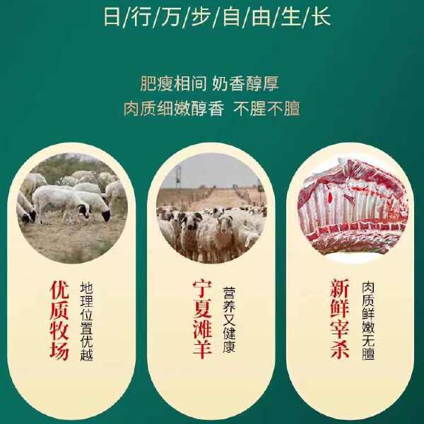 羊外脊肉 无骨羊肉 源头供应链满足您一站式采购需求