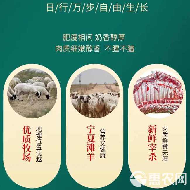 羊外脊肉 无骨羊肉 源头供应链满足您一站式采购需求