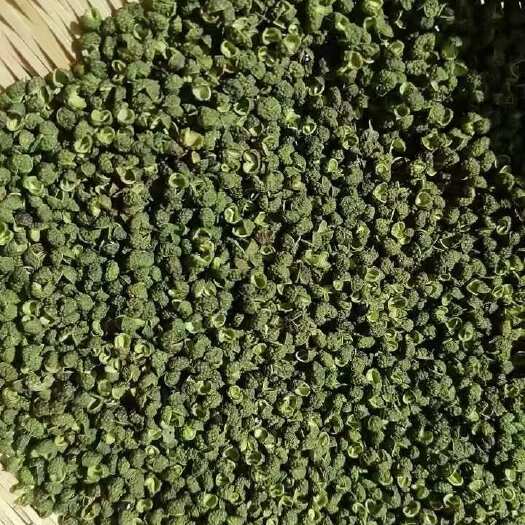 永善县云南昭通永善县 干青花椒 新陈均有 高开口率