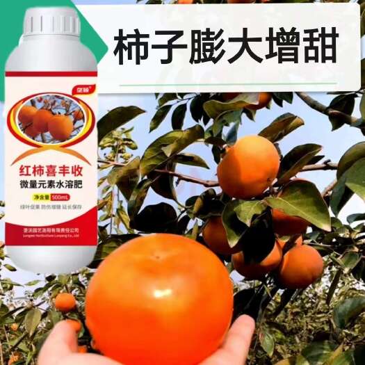 栾川县柿子增甜剂膨大素超甜防伤不苦涩去涩延长保存增甜蜜素红柿专用
