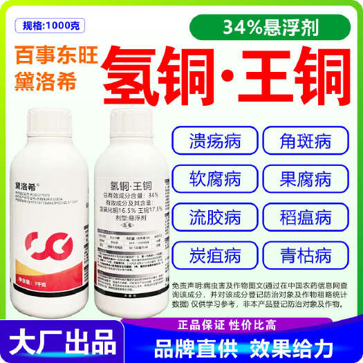 南宁氢铜王铜 黛洛希34%氢铜王铜 溃疡病 细菌性角斑病