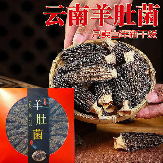 昆明包邮~云南香格里拉羊肚菌干货