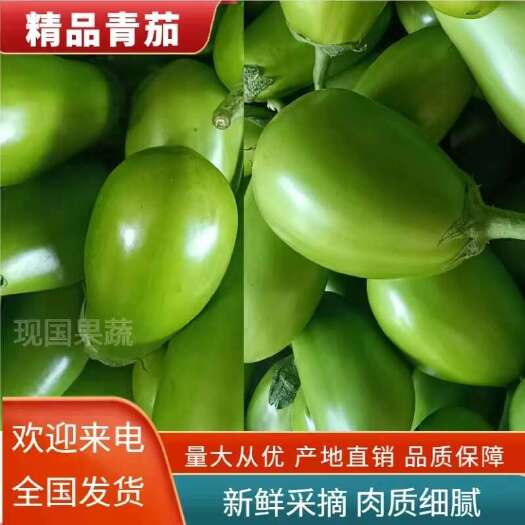 内黄县精品青茄，质量好价格低，一手货源，代收代发全国各地。