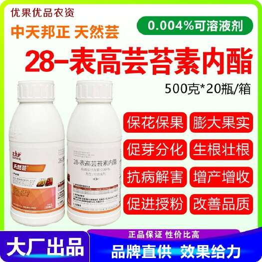 南宁28表高芸苔素内酯 天然芸28表高芸苔素内酯 芸苔素