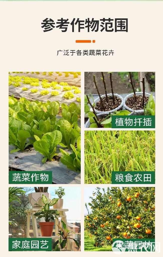 病菌清微生物菌剂杀菌剂真菌细菌病毒早晚疫病霜霉病白粉病