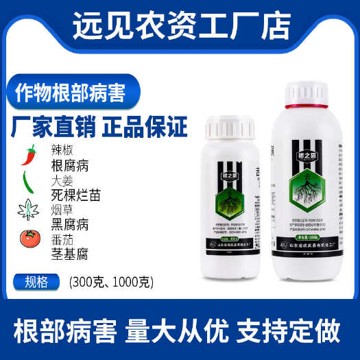 成武县农药杀菌剂苦参硫磺大姜辣椒黄瓜蔬菜根腐病茎基腐死棵烂苗根之盾